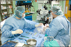Corneal Transplants
